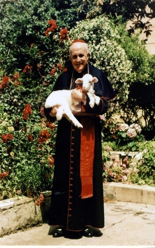 Card. Ernesto Ruffini